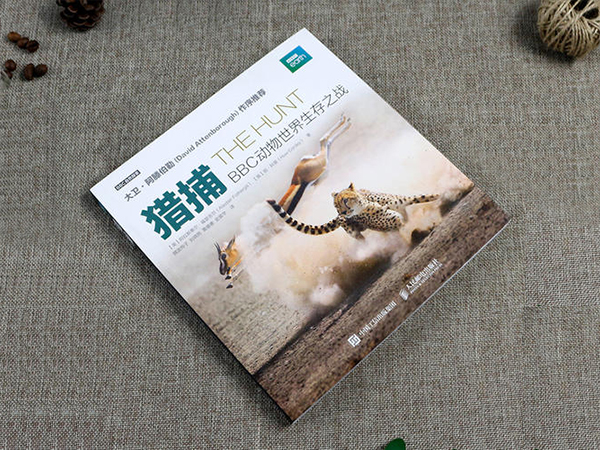 杂志/期刊画册印刷